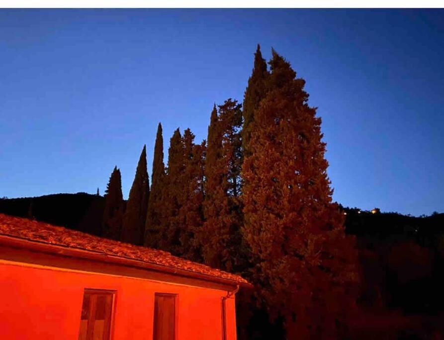 Uno Spazio Di Relax In Toscana Appartement Buti Buitenkant foto